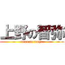 上野の智弥 (ueno to moya)