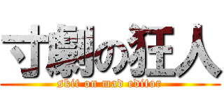 寸劇の狂人 (skit on mad editor)