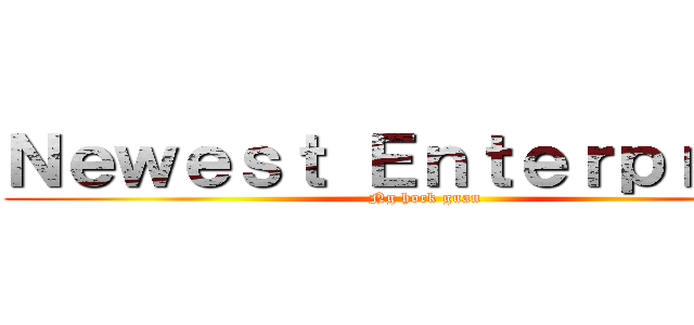 Ｎｅｗｅｓｔ Ｅｎｔｅｒｐｒｉｓｅ (Ng hock guan)
