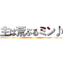 主は荒ぶるミン♪ (樹)