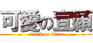 可愛の宜穎 (attack on titan)