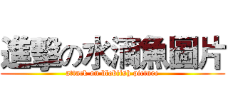 進擊の水滴魚圖片 (attack on blobfish picture)
