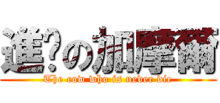 進擊の加摩爾 (The cow who is never die)