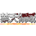 禁天領域 (Jin Tian Ling Yu)