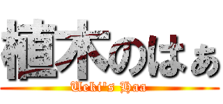 植木のはぁ (Ueki's Haa)