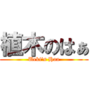 植木のはぁ (Ueki's Haa)