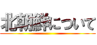 北朝鮮について ()