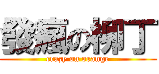 發瘋の柳丁 (crazy on orange)