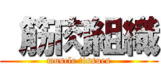  筋肉組織 (muscle tissues)