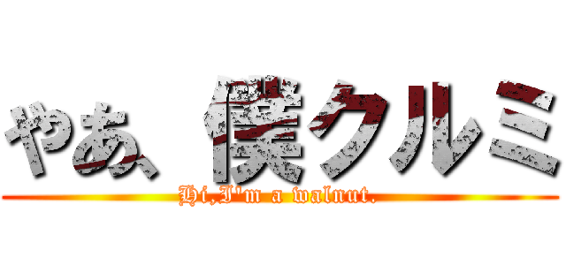 やあ、僕クルミ (Hi,I\'m a walnut.)