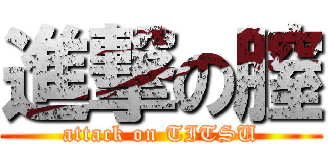 進撃の膣 (attack on TITSU)