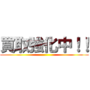 買取強化中！！ ()