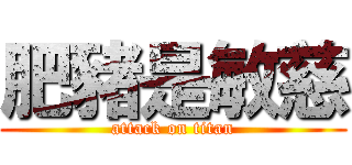 肥豬是敏慈 (attack on titan)