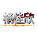 杨佳欣 (sb)