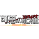 可惡の肥權 (attack on titan)