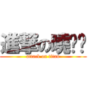 進撃の曉组织 (attack on titan)