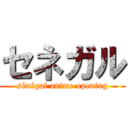 セネガル (sénégal anime opening)