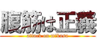 腹筋は正義 (attack on mikasa)