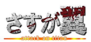 さすが翼 (attack on titan)