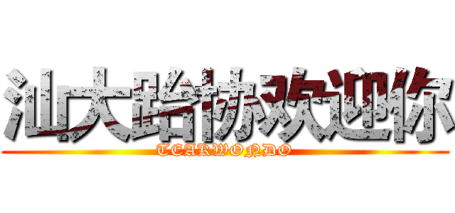 汕大跆协欢迎你 (TEAKWONDO)