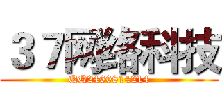 ３７网络科技 (QQ2460814214)