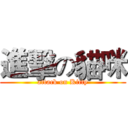 進擊の貓咪 (attack on Kitty)