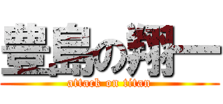 豊島の翔一 (attack on titan)