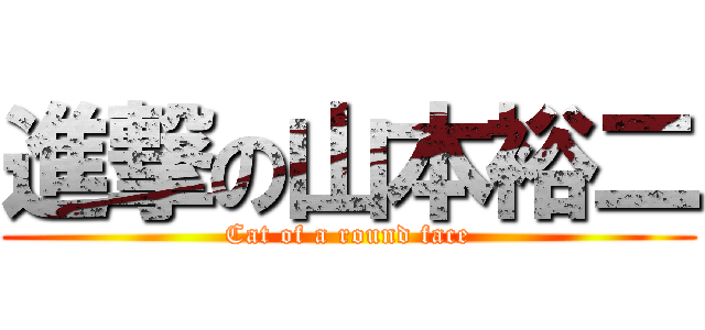 進撃の山本裕二 (Cat of a round face)