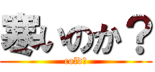 寒いのか？ (cold？)