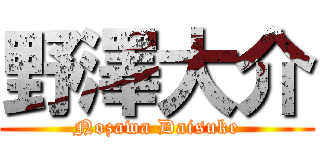野澤大介 (Nozawa Daisuke)