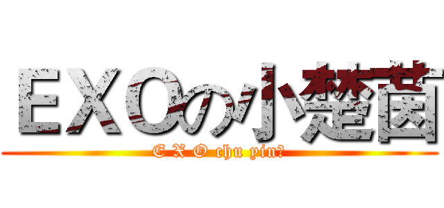 ＥＸＯの小楚茵 (E X O chu yin？)