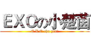 ＥＸＯの小楚茵 (E X O chu yin？)