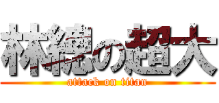 林總の超大 (attack on titan)