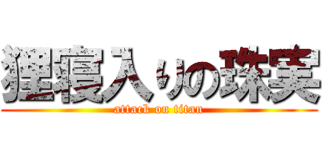 狸寝入りの珠実 (attack on titan)