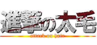 進撃の太毛 (attack on hair)
