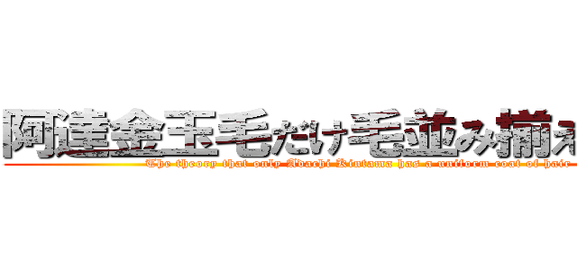 阿達金玉毛だけ毛並み揃えてる説 (The theory that only Adachi Kintama has a uniform coat of hair)