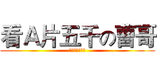 看Ａ片五千の曹哥 (一天五千终不悔)