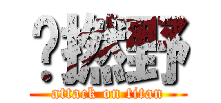 乜撚野 (attack on titan)