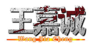 王嘉诚 (Wang Jia Cheng)