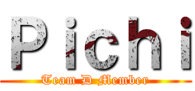 Ｐｉｃｈｉ (Team D Member)