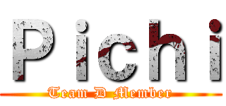 Ｐｉｃｈｉ (Team D Member)