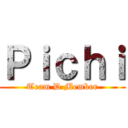Ｐｉｃｈｉ (Team D Member)
