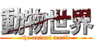 動物世界 (the animal world)