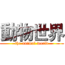 動物世界 (the animal world)