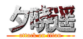 夕晓遥 (attack on titan)