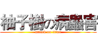 柚子樹の病蟲害 (attack on titan)