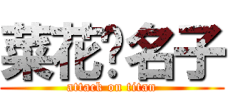 菜花黃名子 (attack on titan)