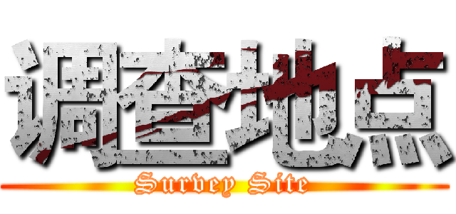 调查地点 (Survey Site)