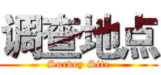 调查地点 (Survey Site)
