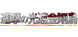 進撃の光速金剛鳥 (attack on kukubird)